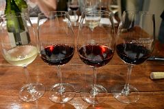 03-12 Chardonnay, Cabernet Sauvignon, Pino Noir, Malbec Wine Tasting At Domaine Bousquet On Uco Valley Wine Tour Mendoza.jpg